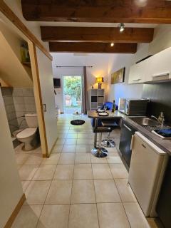 Gîte Les Palmiers L'Escapade Des Flamants Roses - 6