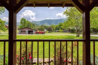 4 Paws Lodge - Sevierville - 8