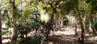 DAKWE COTTAGe - Nagaon - 0