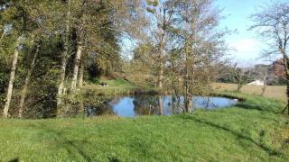 Condrine - Saint-Cricq-Chalosse - 8