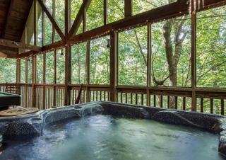 Papa's Pad - Sevierville - 7