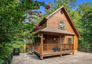 Forest Hollow - Pigeon Forge - 7