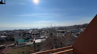 Hotel Tulip House - 1