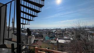 Hotel Tulip House - 2