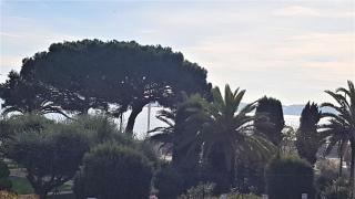 Didalie locations mistral - Sainte-Maxime - 3