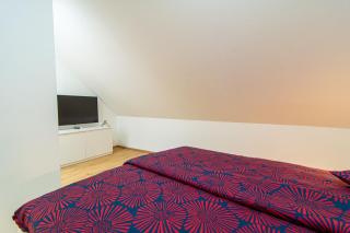 Flexible SelfCheckIns 71 - Zagreb - New - Center - 50m from the Main Square - Zagabria - 6