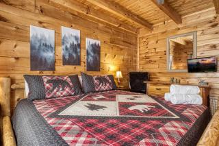 Baby Bear Cabin - Sevierville - 1