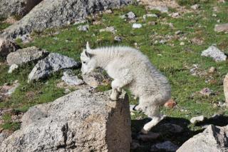Fox Hole Serene Secluded Private Cabin Hot Tub - 1