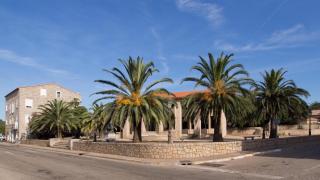 Tozzasim - 9