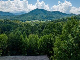 Bearfootin - Sevierville - 7
