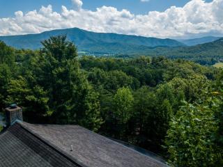 Bearfootin - Sevierville - 6