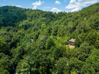 Bearfootin - Sevierville - 3