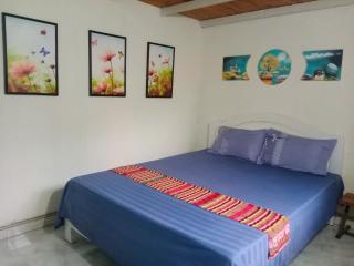 Đảo Chè Thanh Chương - Homestay Gió Lào - 7