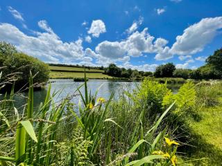 The Lake House , luxury rural retreat - Truro - 0
