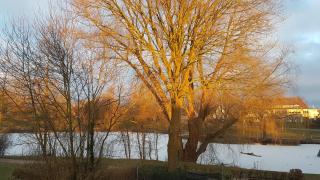Haus am See - Urlaub im Herzen des Münsterlands - Steinfurt - 3