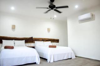 Suites Sagitario - 1
