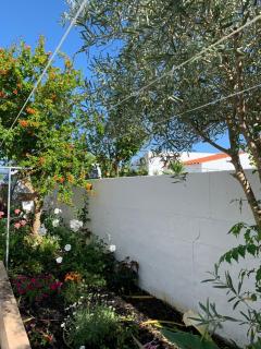 Garden Guest House - Rogil - 7