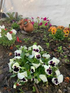 Garden Guest House - Rogil - 6