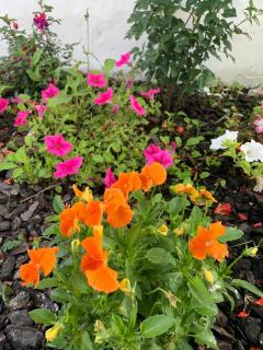Garden Guest House - Rogil - 3