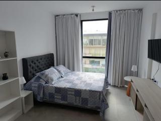 Brickell Pileta 2A Bross - Tigre - 3