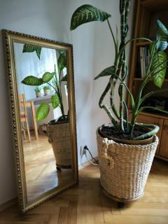 UniFit PLUS APARTMENT - 2