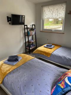 Cosy north Devon lodge within Hartland forest - Exeter - 2