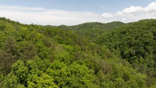 Emerald Forest - Sevierville - 3