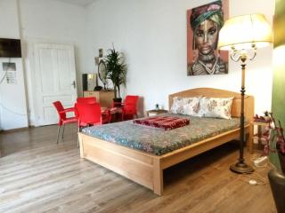 Jasmin apartments - Sajmište - 7