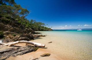 Evasion ensoleillée île de Porquerolles Superbe T3 - Hyères - 9