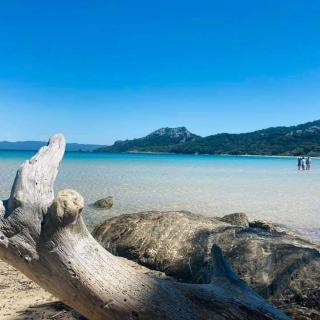 Evasion ensoleillée île de Porquerolles Superbe T3 - Hyères - 7