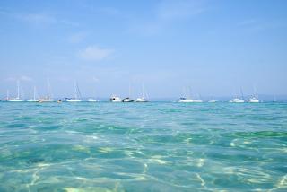 Evasion ensoleillée île de Porquerolles Superbe T3 - Hyères - 6