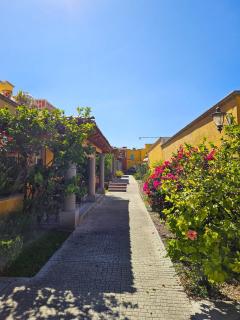New! Bamboo El Cielo Rest & Family - San Miguel de Allende - 6