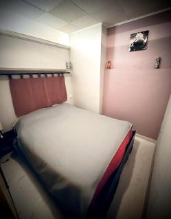 Centre ville Appartement 4 personnes - Cauterets - 4
