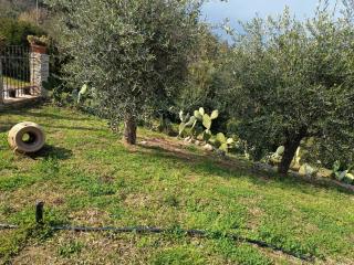 Terra Lenù - 1