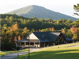 The Copperhead Lodge - Blairsville - 0
