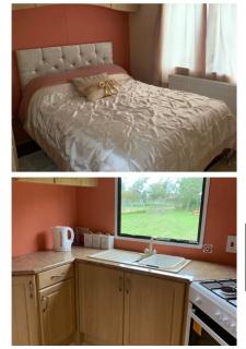 White House farm fishery - - 2