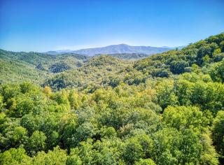 Blue Sky - Sevierville - 6