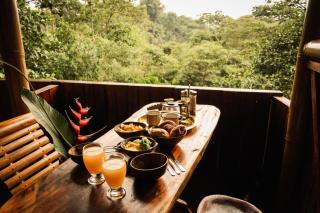 Toucan Lodge - Puyo - 5