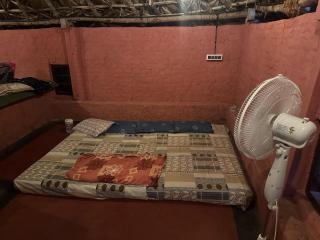 Jungle Farm House - 6