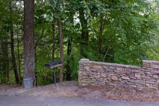 Beary Beary Special - Sevierville - 8