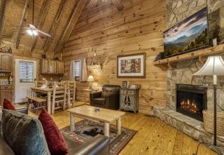 Beary Beary Special - Sevierville - 1