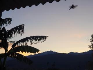 Casa Di Nonna - Ghisonaccia - 6