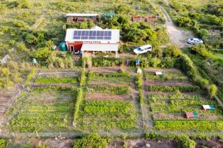 Farmstay at off-grid self sufficient Heartwood Homestead - East London - 3