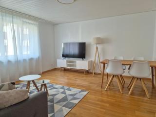 Apartment for 3, close to Zurich and Luzern, free private parking - Wohlen - 3