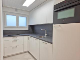 Apartment for 3, close to Zurich and Luzern, free private parking - Wohlen - 8