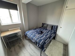 Huge 5 bedroom flat for 10 people 2 min away from Emirates Stadium Zone 2 - Londra - 8