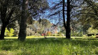 Maison d'hôtes Le Parc - Labruguière - 2