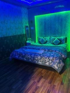 Dal Fog Guest House - Srinagar - 2