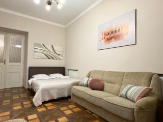 Modern and Classic apart. Central location - Lviv - 8