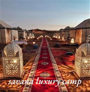 Savanna dunes luxury camp - Merzouga - 9